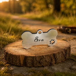 Médaillon personnalisé pour chien en acier inoxydable – forme os